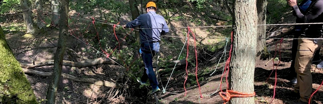 Teambuilding Seilbrücke im Wald