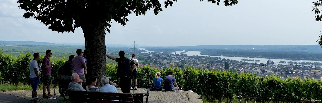 Ausblick am Rheinsteig