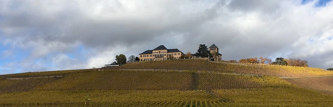 Schloss Johannisburg bei Wiesbaden als Teambuilding-Ort
