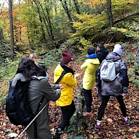 Team zieht gemeinsam am Seil
